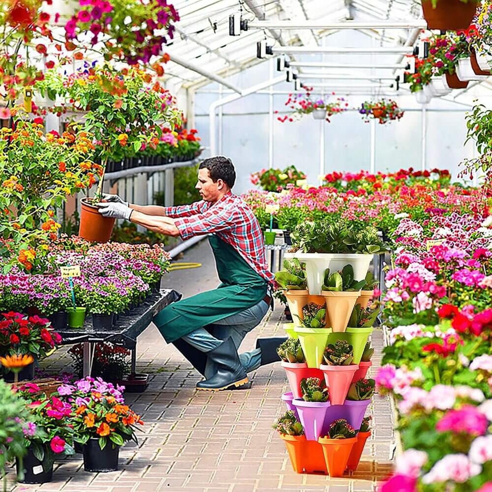 イチゴの植木鉢