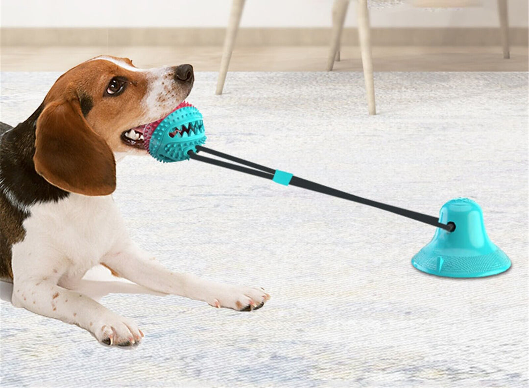 インタラクティブな犬の噛むおもちゃ